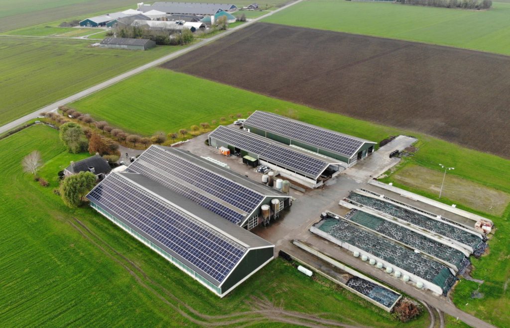 Zonnepanelen Beerta dak